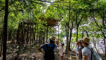 Na Amazônia, turismo ecológico e contemplativo sem ser passivo 4