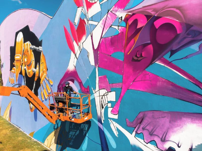 Ribeirão Preto ganha seu maior painel de arte urbana a céu aberto 1