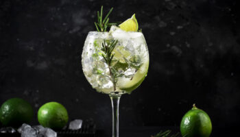 Dia Internacional do Gin Tônica: descubra como preparar esse drink de diferentes formas 7